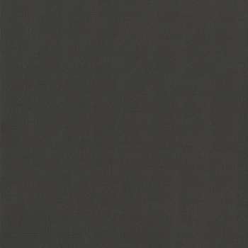 Obsidian