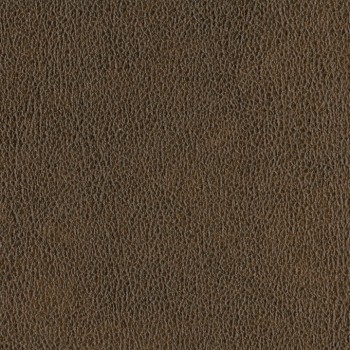 Mesquite