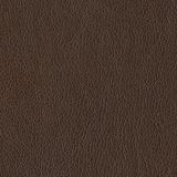53a08b85f36aadd40fe4eab8_allproducts1.jpg