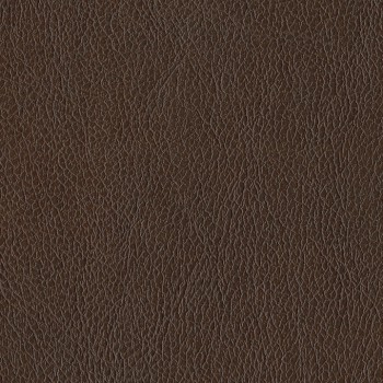 Cocoa