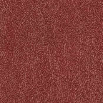 Cranberry