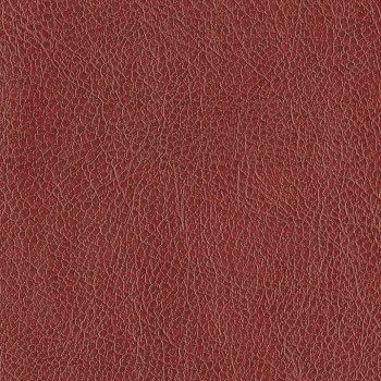 Cranberry