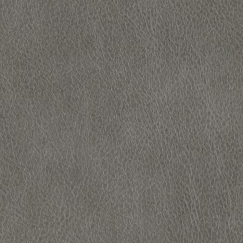 Magnetite