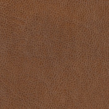 Saddle
