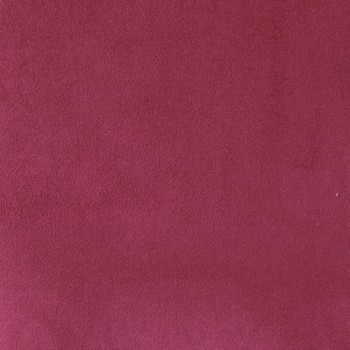 Raspberry