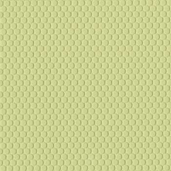Lawn