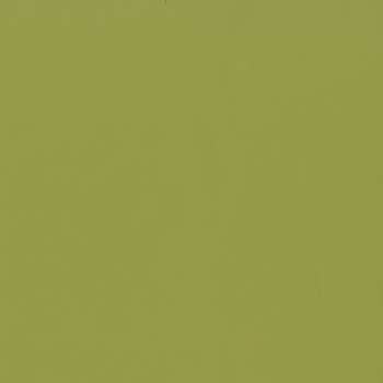 Wasabi