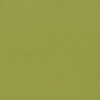 Wasabi