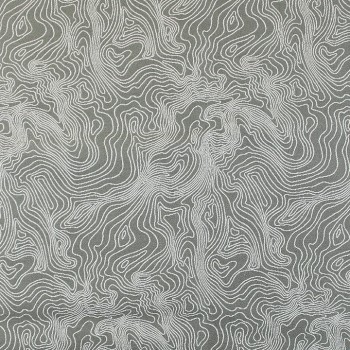 Fossil
