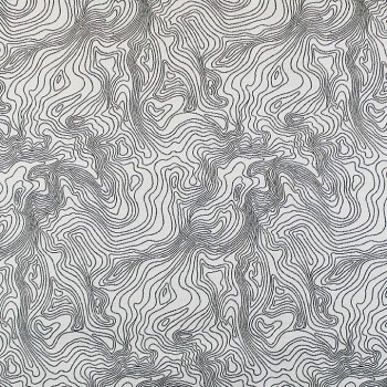 Mica