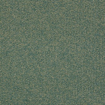 Spruce