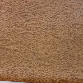 Teak